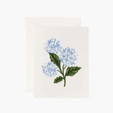 Hydrangea Bloom Greeting Card