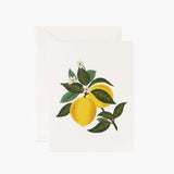 Lemon Blossom Greeting Card