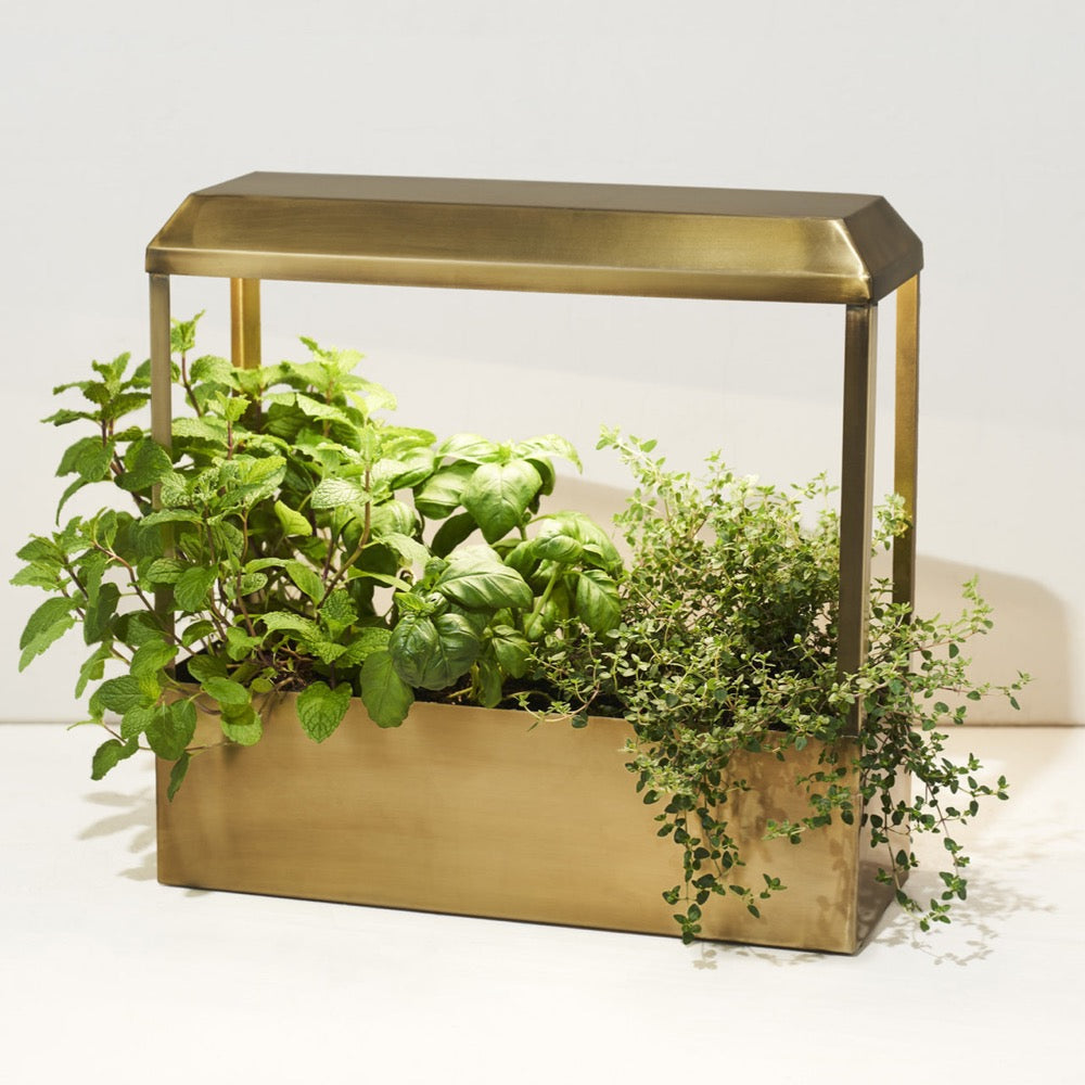 Smart Growhouse