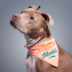 Freelance Dog Model Dog Bandana