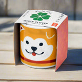 Hachi Dog Lucky Plant (White Clover)