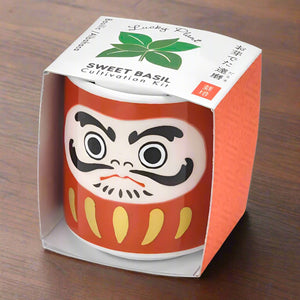 Daruma Lucky Plant (Sweet Basil)