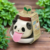 Panda Cultivation Kit (Basil)