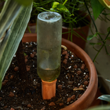 Terracotta Water Spikes, Set of Two Planter Waterer