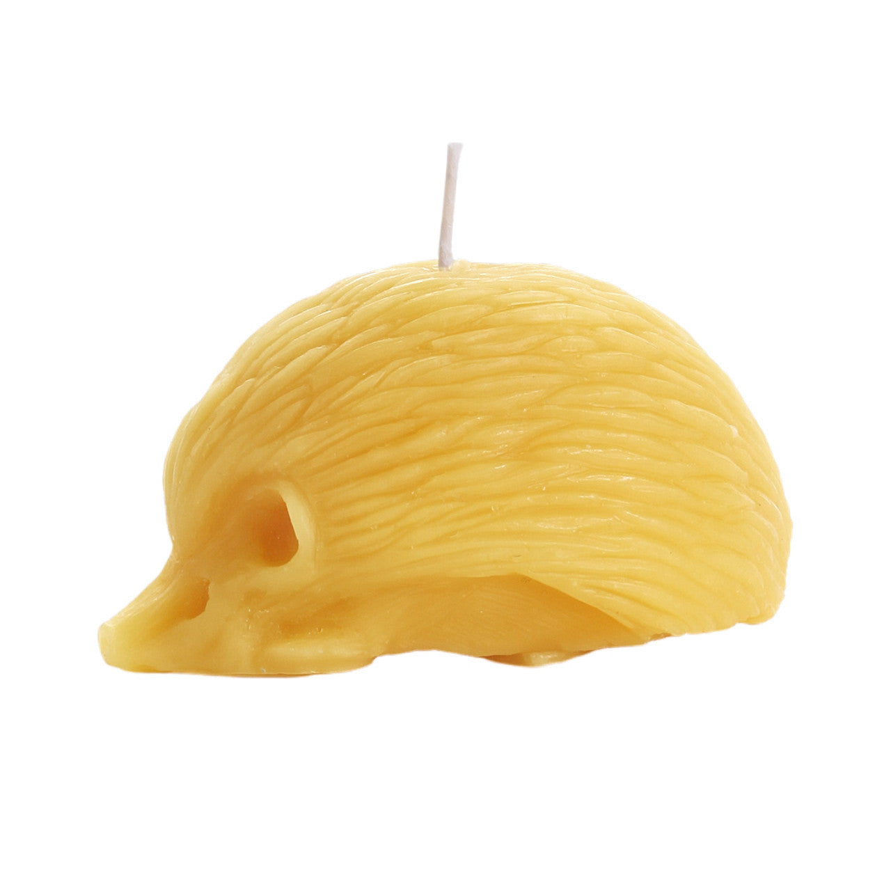 Hedgehog Beeswax Candle