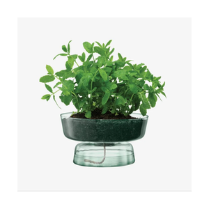 Canopy Self-Watering Planter