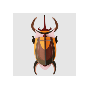 Elephant Beetle Wall Art