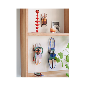 Elephant Beetle Wall Art