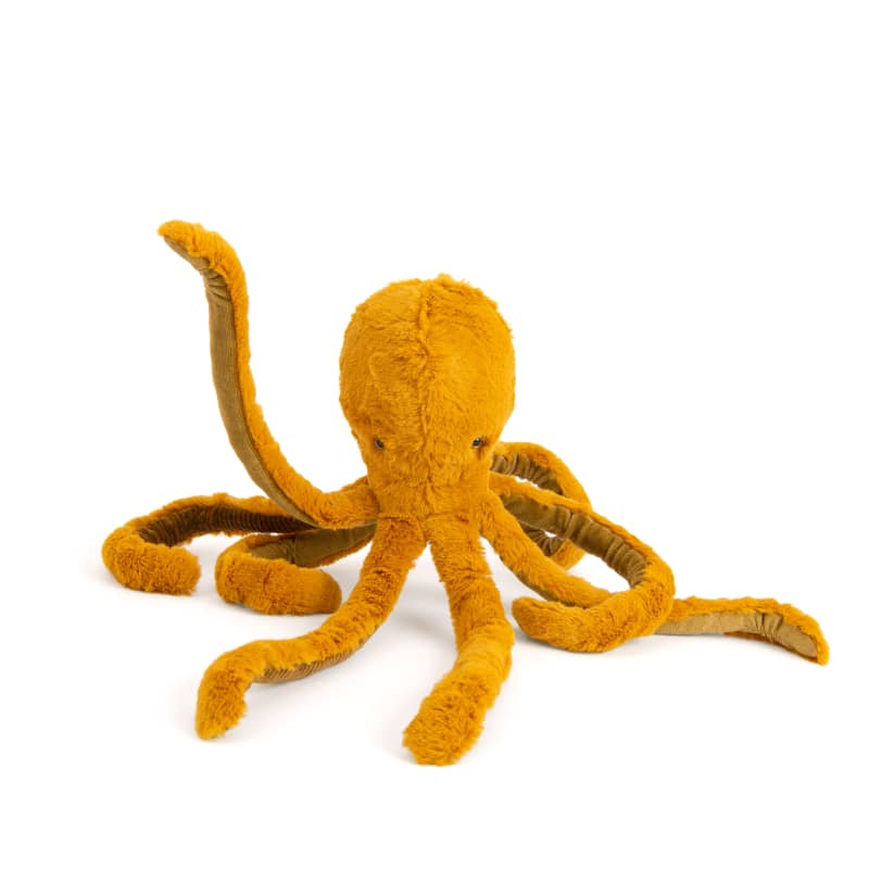 Octopus (small)