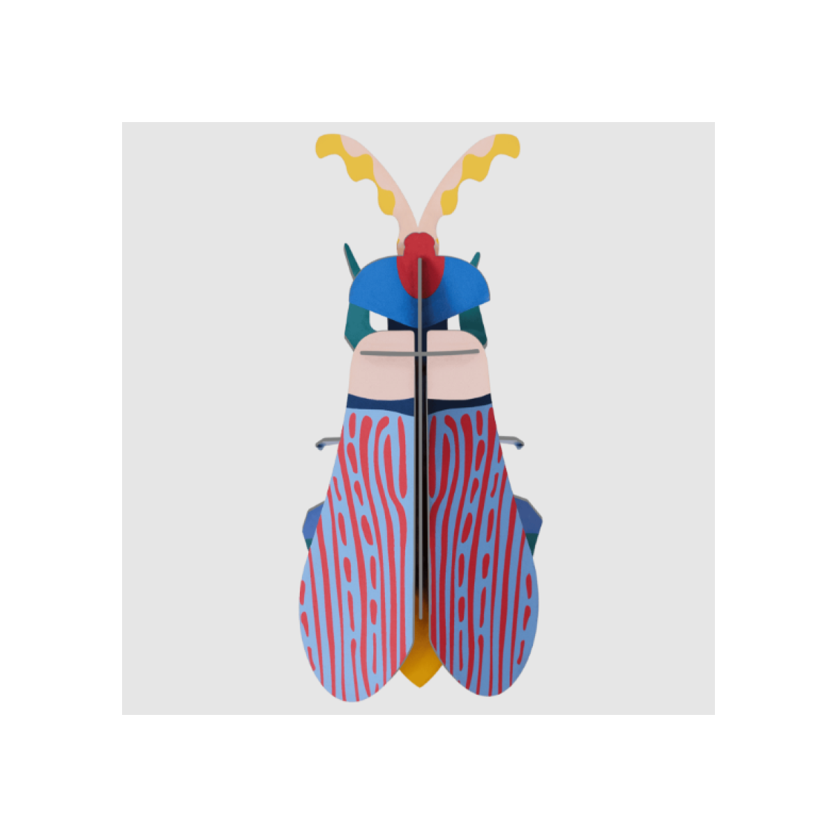 Striped Wing Beetle Wall Art