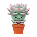 Succulent Friends Blind Box