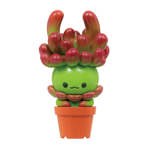 Succulent Friends Blind Box