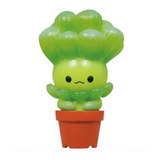 Succulent Friends Blind Box